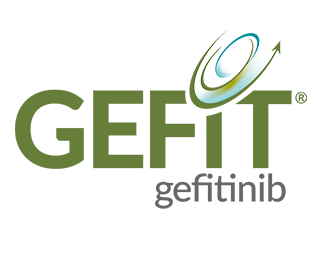 Gefit ®